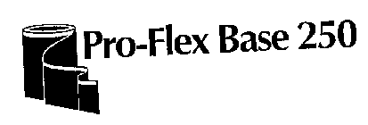 PRO-FLEX BASE 250