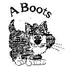 A BOOTS