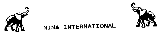 NINA INTERNATIONAL
