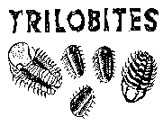 TRILOBITES