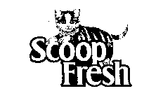 SCOOP FRESH