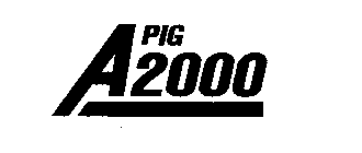 A PIG 2000