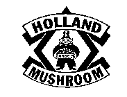 HOLLAND MUSHROOM