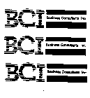 BCI BUSINESS CONSULTANTS, INC.