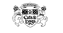REIGNING CATS & DOGS