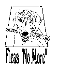 FLEAS 