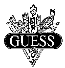 WILD GUESS