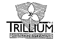 TRILLIUM BUSINESS LEARNING INC