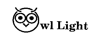 OWL LIGHT