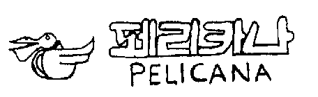 PELICANA