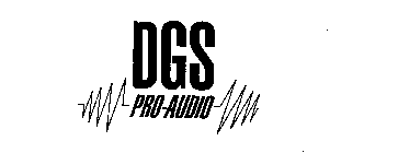 DGS PRO-AUDIO