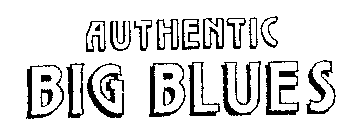 AUTHENTIC BIG BLUES