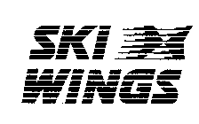 SKI WINGS