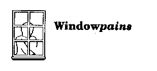 WINDOWPAINS