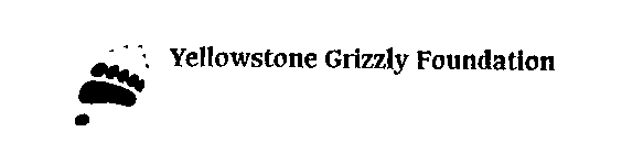 YELLOWSTONE GRIZZLY FOUNDATION