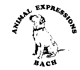 ANIMAL EXPRESSIONS BACH