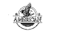 AMERICAN