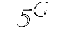 5G