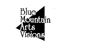 BLUE MOUNTAIN ARTS VISIONS