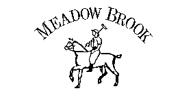 MEADOW BROOK