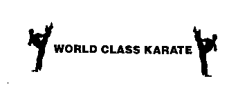 WORLD CLASS KARATE STUDIOS