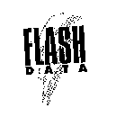 FLASH DATA