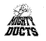 MIGHTY DUCTS