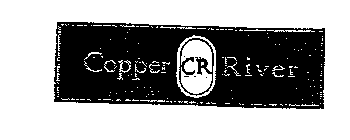 COPPER CR RIVER