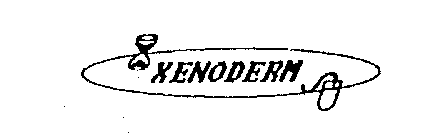 XENODERM