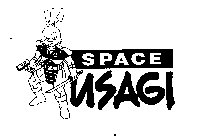 SPACE USAGI