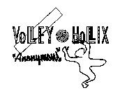 VOLLEY HOLLIX 