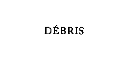 DEBRIS