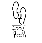 FOOT TRAIL