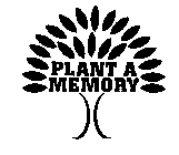 PLANT A MEMORY