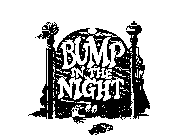 BUMP IN THE NIGHT
