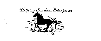 DRIFTING SUNSHINE ENTERPRISES