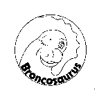 BRONCOSAURUS