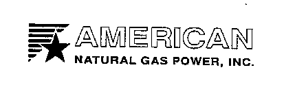 AMERICAN NATURAL GAS POWER, INC.