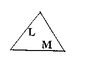 L M