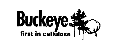 BUCKEYE FIRST IN CELLULOSE