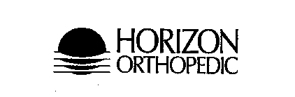 HORIZON ORTHOPEDIC