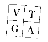 V T G A