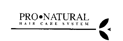 PRO-NATURAL HAIR CARE SYSTEM