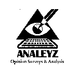 ANALEYZ OPINION SURVEYS & ANALYSIS