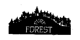 PURE FOREST