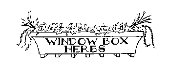 WINDOW BOX HERBS