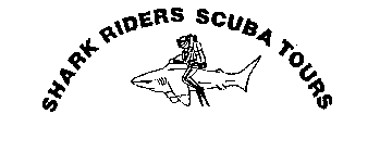 SHARK RIDERS SCUBA TOURS