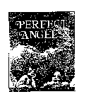 PERFECT ANGELS