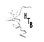 HTB