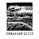 PHEASANT GULLY